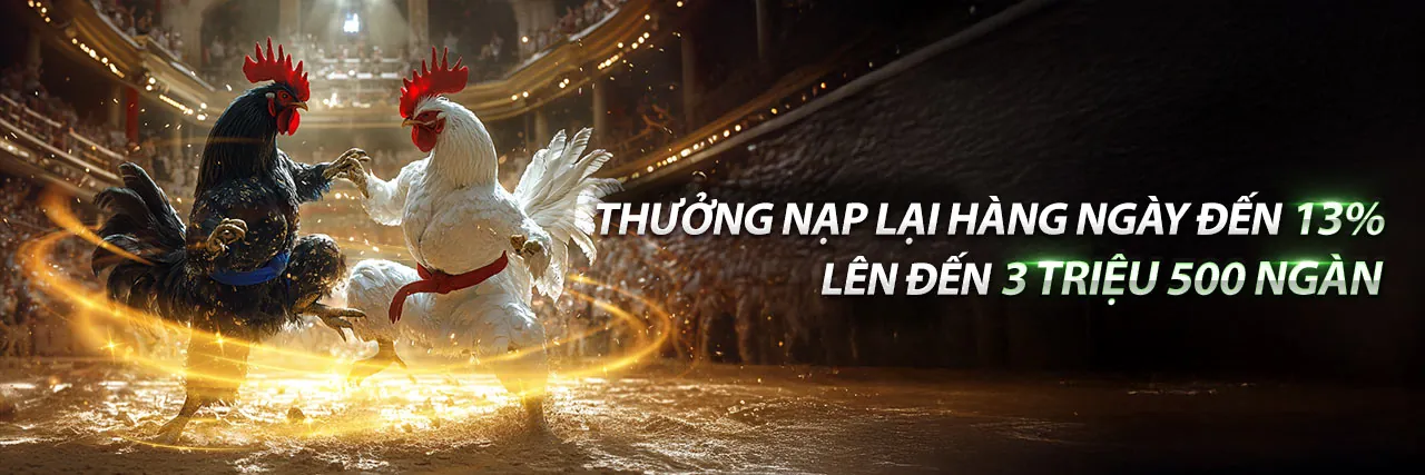 Đá gà trực tuyến kịch tính tại u8888 chính thức